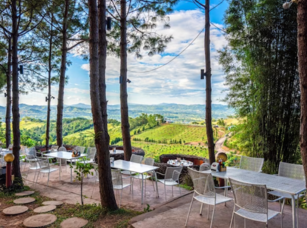 Cafe dengan teras pinggir hutan dan meja-meja lipat
